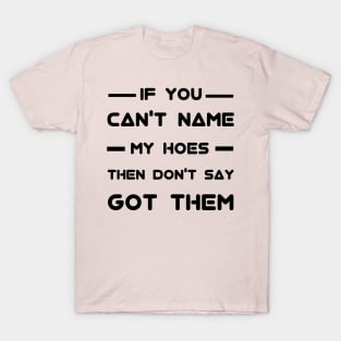 If you can't name my hoes then don't say got them T-Shirt